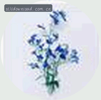 小雨